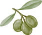 section-rsvp-image